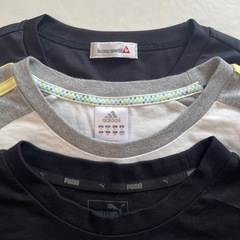 定番　スポーツブランド　Ｔシャツ3点の画像