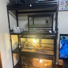 90ゲージ　120水槽台　爬虫類の画像