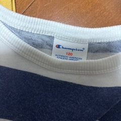 ストライプポロシャツとChampion Tシャツセットの画像