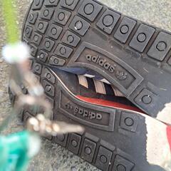 adidas　スニーカーの画像