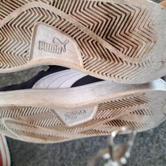 PUMA　スニーカーの画像