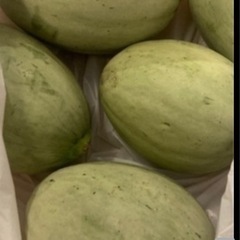 メロン瓜❤️沢山頂いたので欲しいかた