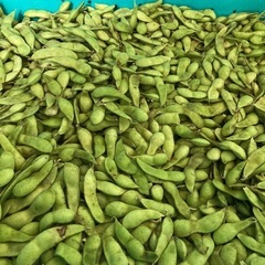 黒豆枝豆Ｂ品  7/5(土) 17時限定お取引