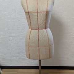 【値下げ】ボディ マネキン トルソー　ライン入りの画像