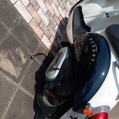 ホンダ　クレアスクーピー50の画像