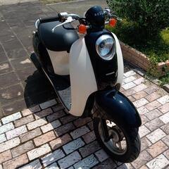 ホンダ　クレアスクーピー50の画像