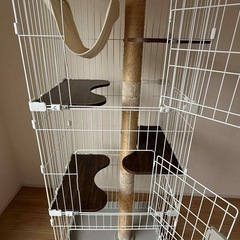 キャットタワーの画像