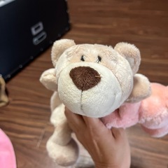 NICIブタゾウクマ筆箱 3個の画像