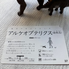 恐竜　おもちゃ　恐竜カードの画像