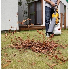 旧RYOBI ブロアバキューム の画像
