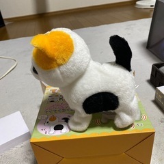 限界価額！てくてく三毛猫の画像