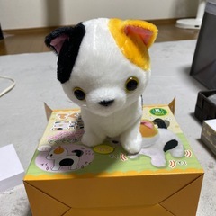 限界価額！てくてく三毛猫の画像