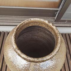 大きい古い壺  ベージュの画像