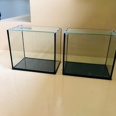 コトブキ工芸　レグラス　2個セットの画像
