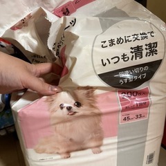 ペット用シーツの画像