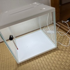 ２５キューブ水槽オマケエビ５匹‼️