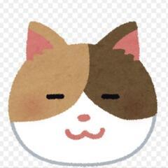 ウサギとネコ飼ってる人！！