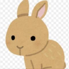 ウサギとネコ飼ってる人！！ - 延岡市