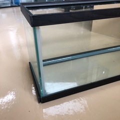 ガラス水槽　木目フレーム　の画像
