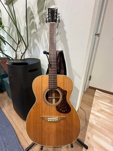 history アコースティックギター