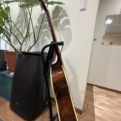 history アコースティックギターの画像