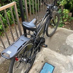 BP02 2025／6月納車品