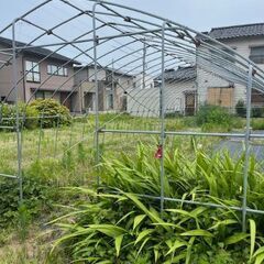 ビニルハウス支柱のみの画像