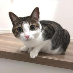 甘えん坊でお利口な女の子