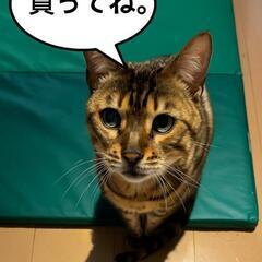 【半額】フローリング(1.513㎡)     1ケース1000円　　2ケースまで　　の画像