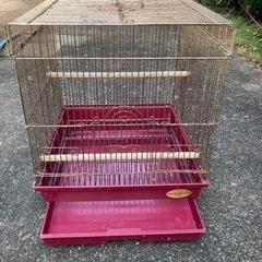 オハナシ中鳥籠②の画像