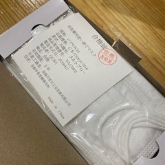マスク　マスクケースの画像