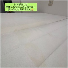 無印ポケットコイルベッド（セミシングル×2台）の画像