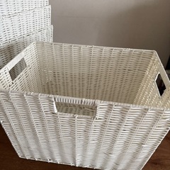 【引渡決定済】アイリスオーヤマ　バスケットの画像