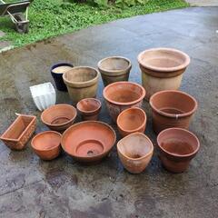 素焼き、陶器の植木鉢