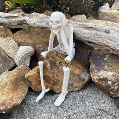 新品未使用　骸骨　見猿言わ猿聞か猿　3体セット　ドライガーデンの画像