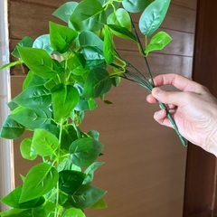 フェイクグリーン　ポトスの画像