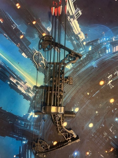 【相談中】引取り限定　コンパウンドボウ