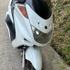 完売！ありがとうございました。マジェスティ250自賠責ロングの画像