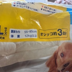 未開封　ペット用　犬用　オムツ　LL 5枚入り　3L12枚入りまとめての画像