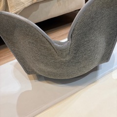 Style スタンダード　美姿勢　シート　の画像