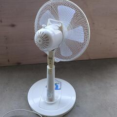 涼しい扇風機♪の画像