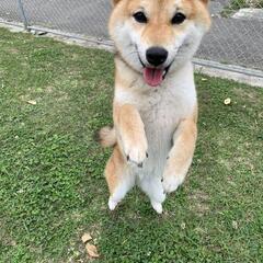 里親募集☆