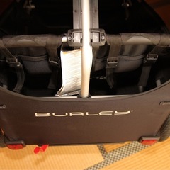 Burley ディーライト X 自転車用ベビーカーの画像