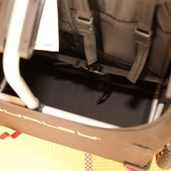 Burley ディーライト X 自転車用ベビーカーの画像