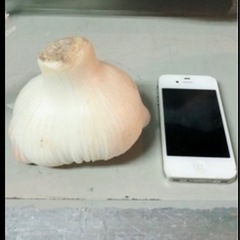 新鮮　和歌山産　無臭ジャンボにんにく3キロ（ＬからＬＬサイズ）の画像