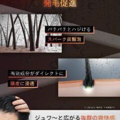 育毛剤 炭酸の画像