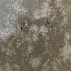 ひな人形 の画像