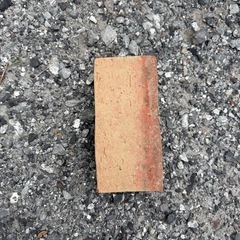 レンガ　　平板コンクリート　　1個50円
の画像