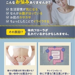 【新品】ビフィラル 乳酸菌 ビフィズス菌 酪酸菌 サプリ 4.5兆個 30日分 菌活 オリゴ糖 イヌリン ナットウキナーゼ の画像