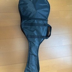 【8/25（月）まで】エレキギター　SELDER STC-04 黒マットカラーの画像
